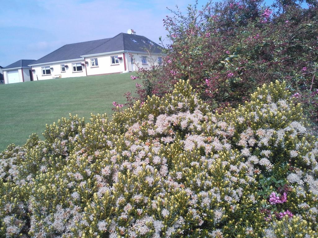 Tullaleagan Guesthouse Oughterard Exteriér fotografie
