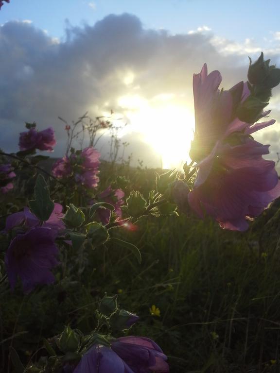 Tullaleagan Guesthouse Oughterard Exteriér fotografie